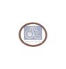 IVECO 17278781 Seal Ring